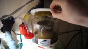 Система фильтрации в морском аквариуме , Самп