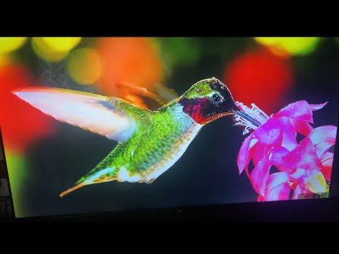 SONY 8K Ultra HD 65” Unboxing & Installation. смотреть онлайн