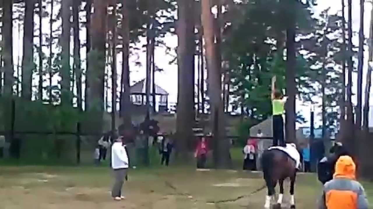 Конное выступление 1