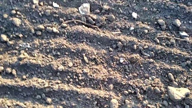 Кремний по всему полю смотреть онлайн