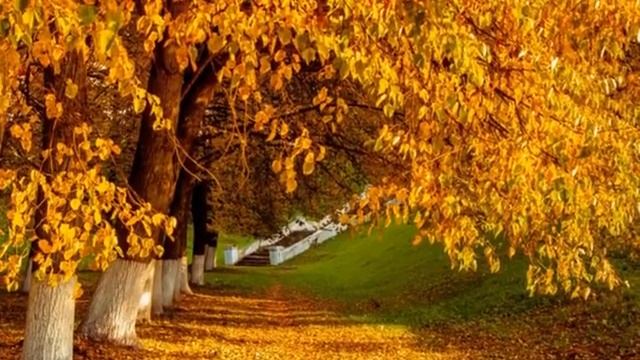 Златавласка - Осень...муз.комп.Японский Блюз(саксафон) смотреть онлайн