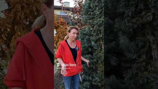 Прогулка по моему саду с Бреевой Светланой. смотреть онлайн