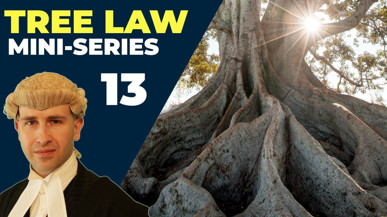 Who Is Responsible For Tree Roots? | Tree Law Miniseries Part 13 | BlackBeltBarrister смотреть онлайн