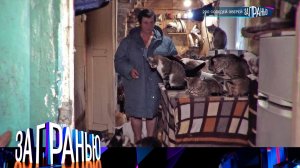 «За гранью»: «200 соседей-зверей» | Выпуск от 26 ноября 2024 года