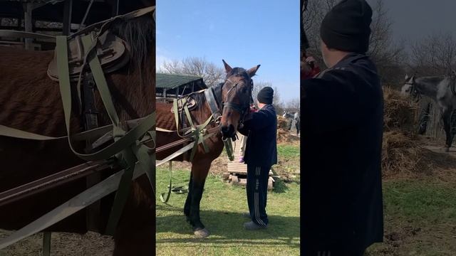 Грузоперевозки в нашем селе