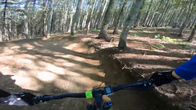 areál Kouty- Bike Park Damian Cykista Dartmoor Hornet 2020 смотреть онлайн