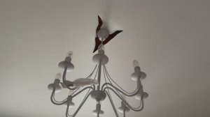 Натяжной потолок порвался над люстрой, экономный способ это исправить. ( Воля - Строй! Volya.Stroy )