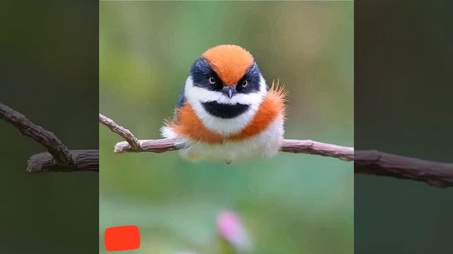 The Best Painter is Definitely GOD. смотреть онлайн