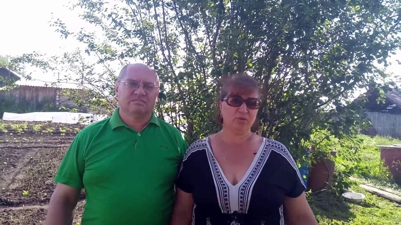 Отзыв о работе ( Центральное Квартирное Бюро) смотреть онлайн