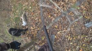 Охота на зайца