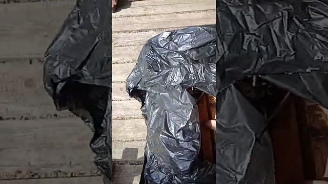 хранение суши. смотреть онлайн