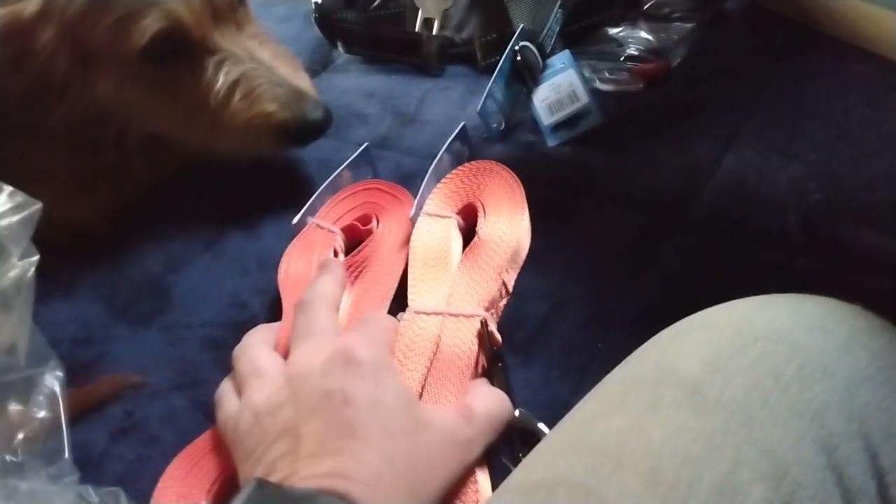GaDaH - Let''s go for a Walk" Doggy Day Out - products purchased - Pt.1. August 16, 2022 смотреть онлайн