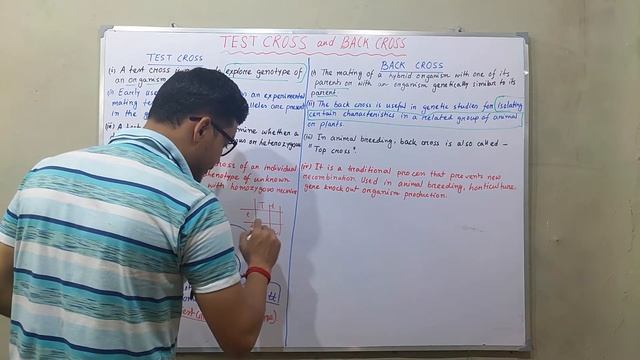 Test Cross and Back Cross | Mendelian Genetics | B.Sc Genetics смотреть онлайн
