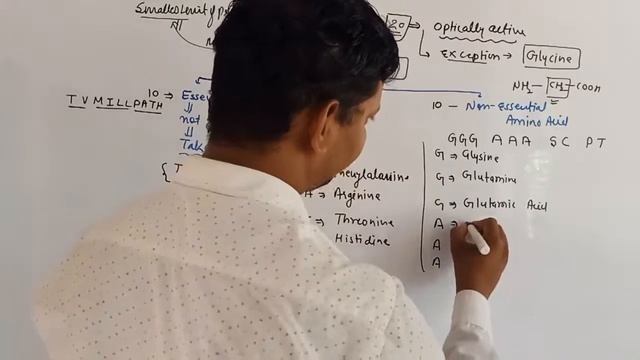 AMINO ACIDS | BIOMOLECULE