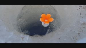 ЭТОТ ПОПЛАВОК ЗАВОРАЖИВАЕТ ВСЕХ РЫБ! Рыбалка зимой.