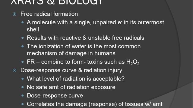 Radiology Board Review #1 Theory Before Anatomy смотреть онлайн