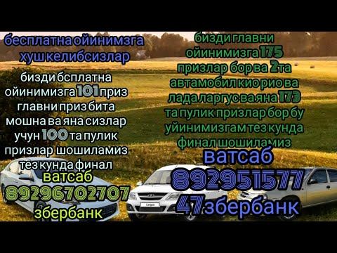 Срочно Бесплатно Розыгрыш Приз 101 Дона Ватсап 89295157747