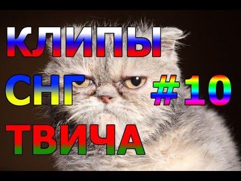 КСТ #10 - "Давай поженимся"/ Братишкин умирает/ Дед спас от депрессии/ 0nuqtive есть казявки смотреть онлайн