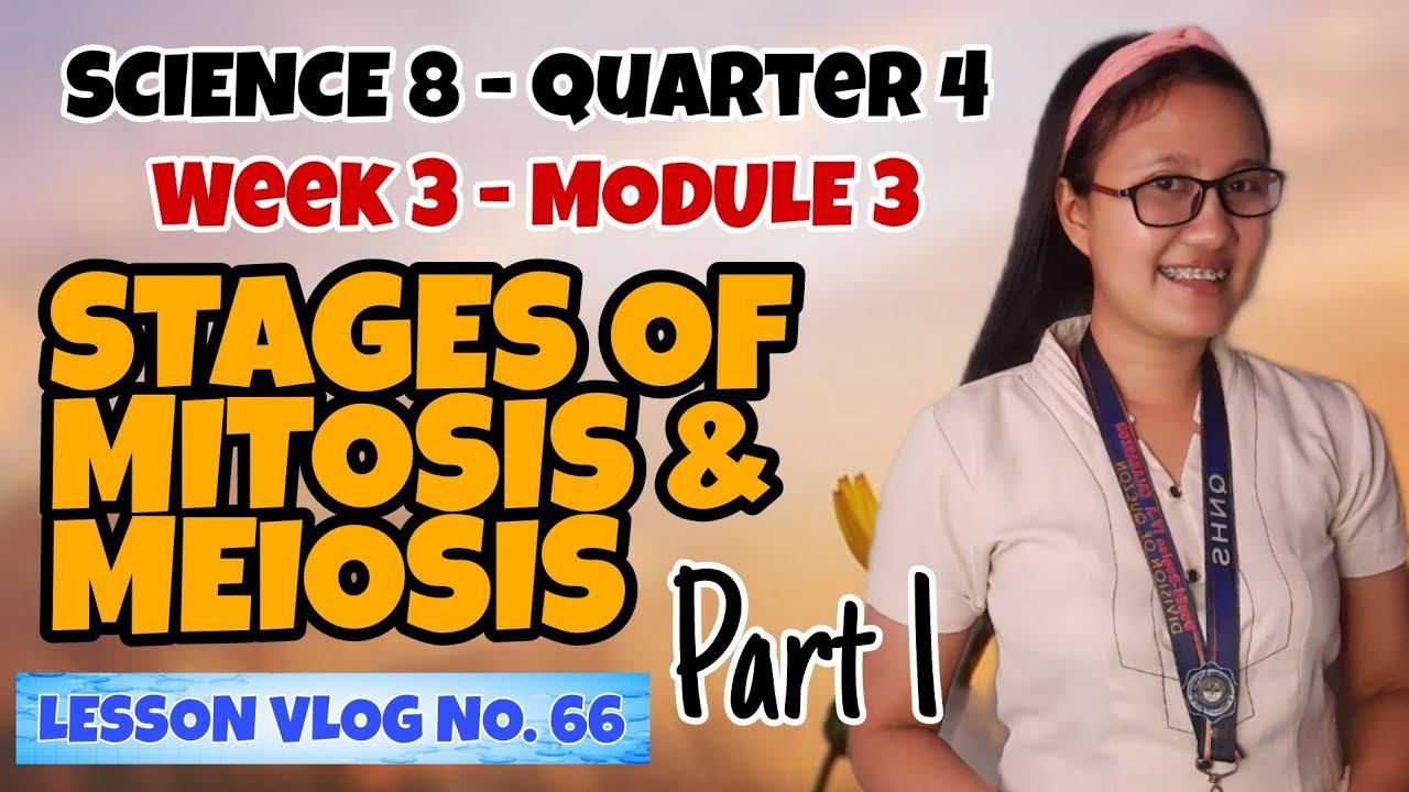 Stages of Mitosis and Meiosis (Module 3. Part 1) | SCIENCE 8 смотреть онлайн