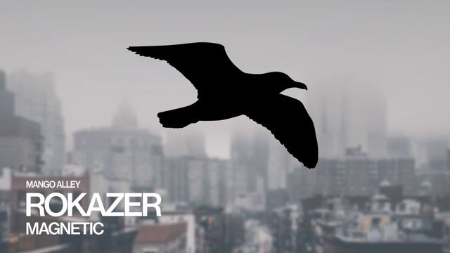 ROKAZER Magnetic