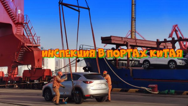 Инспекция в портах Китая
