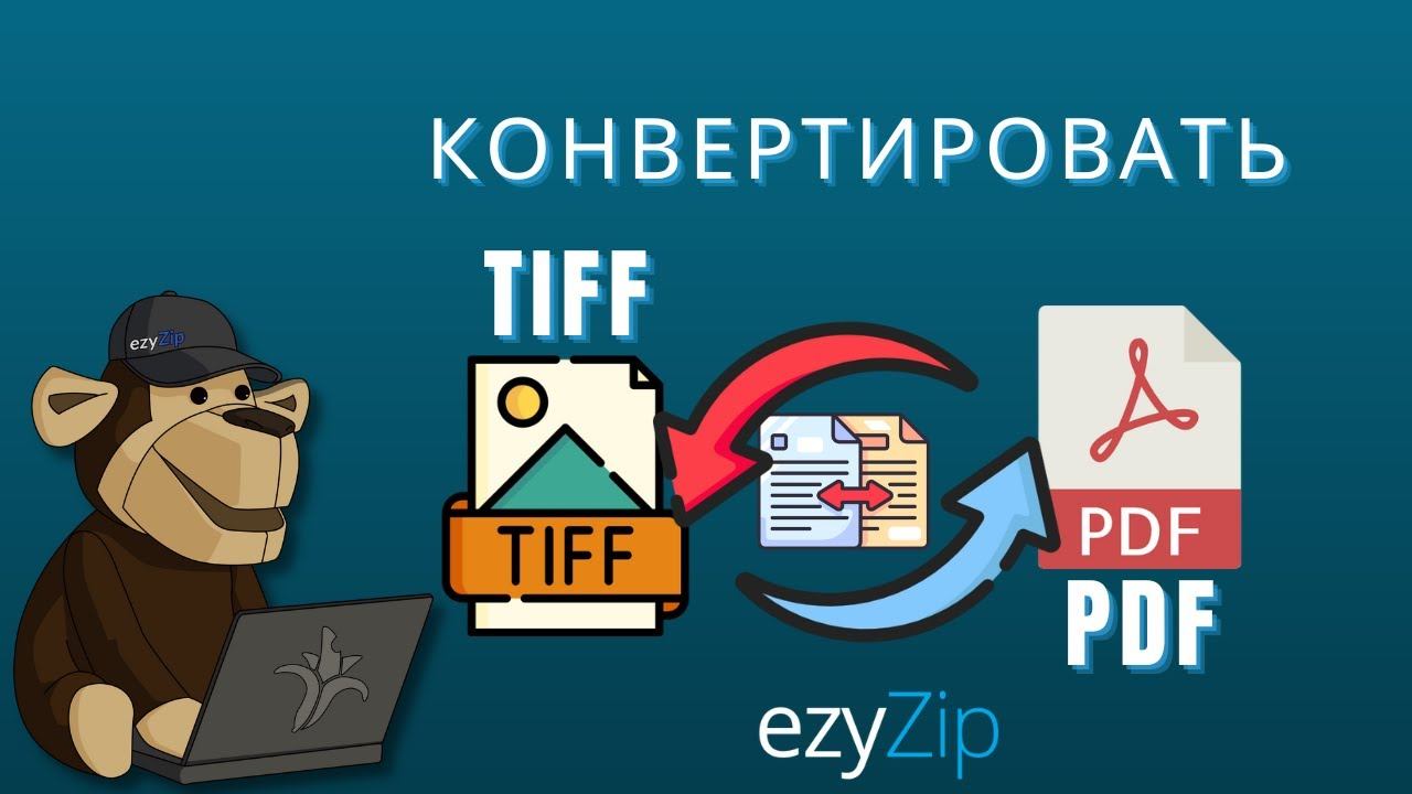 Как Конвертировать TIFF В PDF Онлайн (простое Руководство) смотреть онлайн