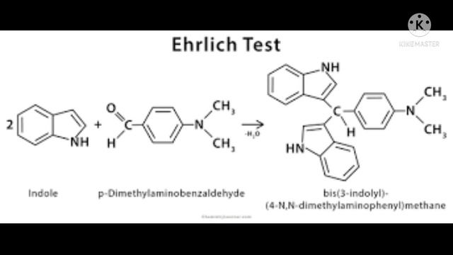 Reaction with R groups side chains -Colour tests for aminoacids - AMINOACID VII смотреть онлайн