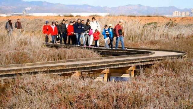 Voluntariat Ambiental Torrent Verd Marjal dels Moros смотреть онлайн