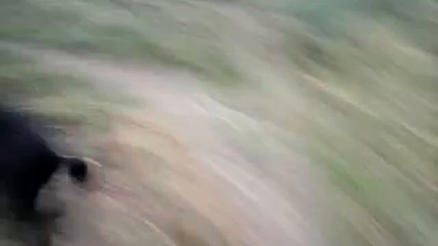 Эксперимент! Данное видео снято на Nokia 3310! смотреть онлайн
