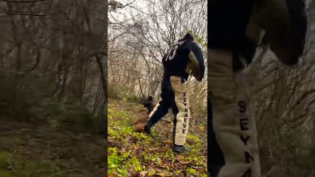 GAMA YİNE ISIRDI 😱 смотреть онлайн