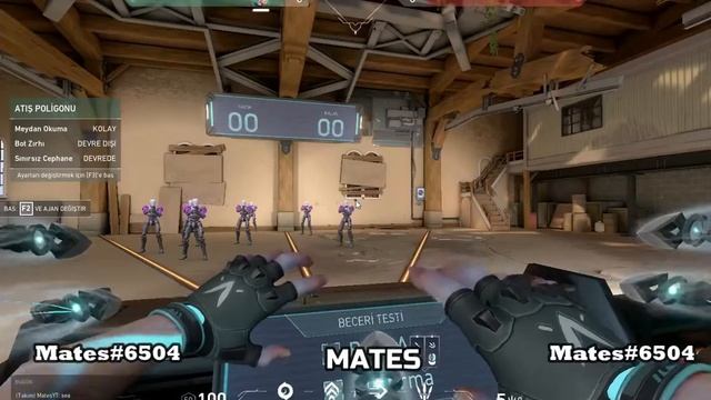 Mates Cheat (Valorant Kek) смотреть онлайн