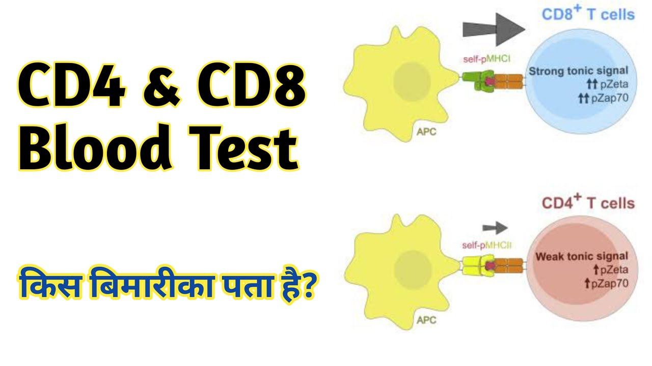 cd4 count test | cd4 and cd8 cells смотреть онлайн