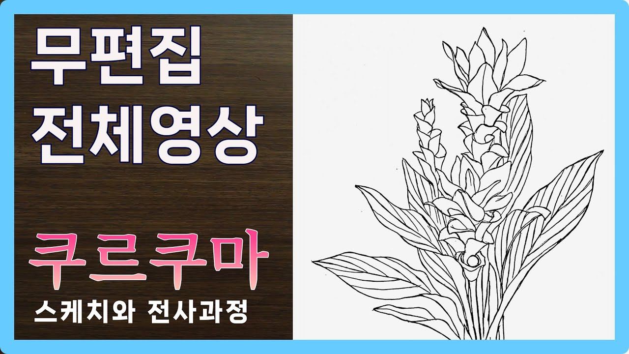 🔵[무편집-전체영상] 핑크로 태어난 고백의 꽃 | 쿠르쿠마 그리기 | Curcuma Drawing смотреть онлайн