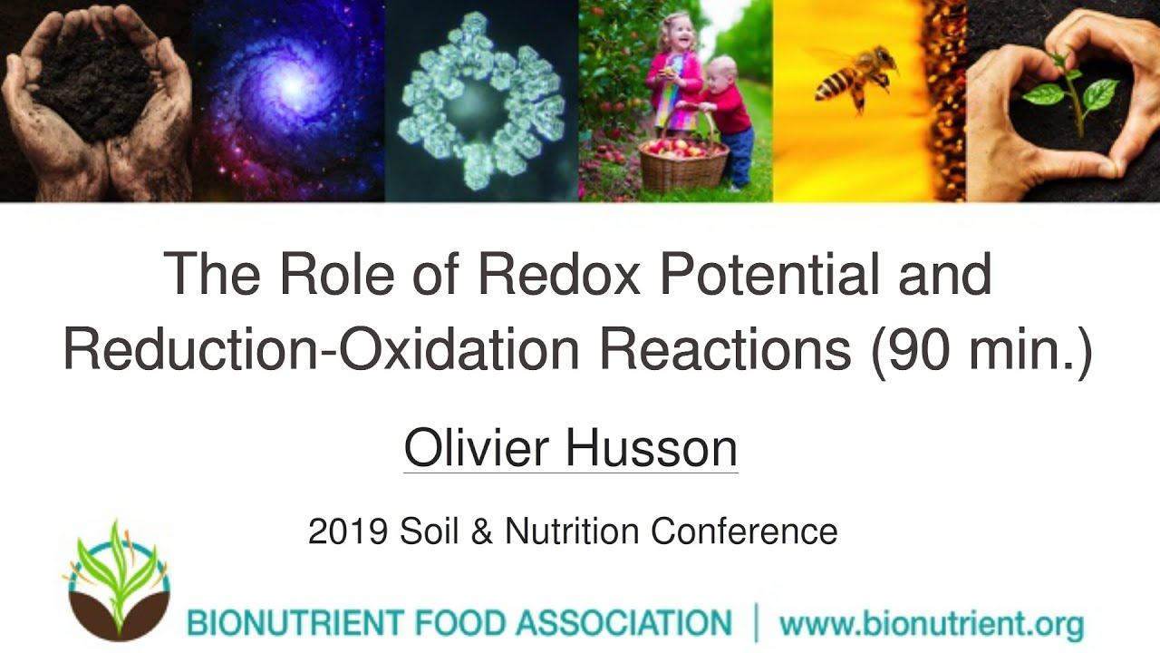 Olivier Husson: Redox Potential and Reduction-Oxidation Reactions | 2019 Soil & Nutrition Conferenc смотреть онлайн