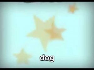 Starlight Starter M7 p. 91 Animals