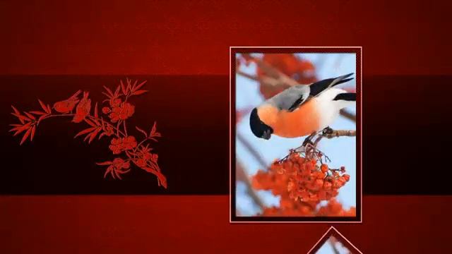 Прилетели снегири...исп. муз.О. Щеглов, сл. Maркович смотреть онлайн