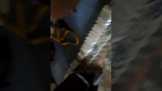 Domino nun yolları çok eyleneceksunus cokkk смотреть онлайн