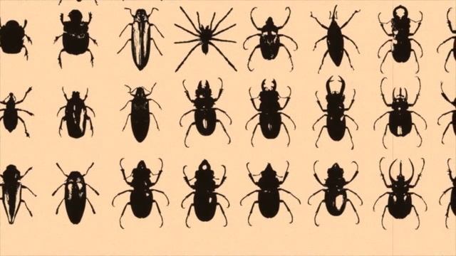 A Rediscovered Life смотреть онлайн