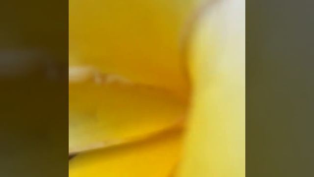 ICT Student Bio смотреть онлайн