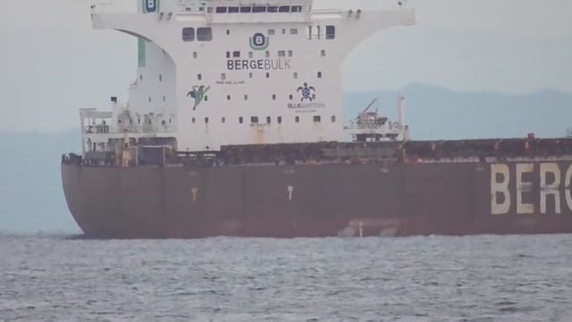 Bulk Carrier BERGE TORRE 10 2021 смотреть онлайн