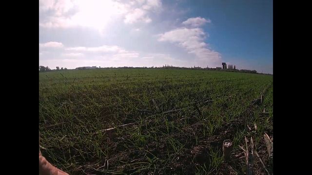 Обприскування озимої пшениці Шпаловка гербіцидами. Дослід з мікроелементами від компанії "Долина" смотреть онлайн