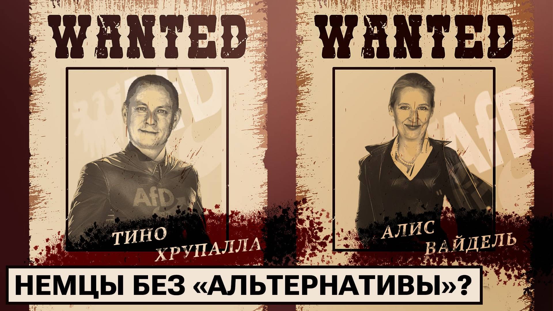 Бан «Альтернативы для Германии» — это реально? смотреть онлайн