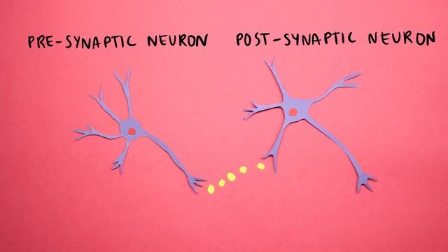 Our research 2/2 - Institut de Neurociències de la UAB смотреть онлайн