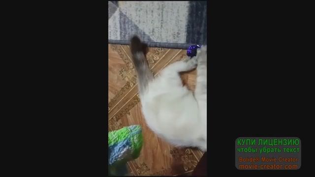 Отчет по вышивке за неделю №8 (07/11/2024 - 25/11/2024) смотреть онлайн