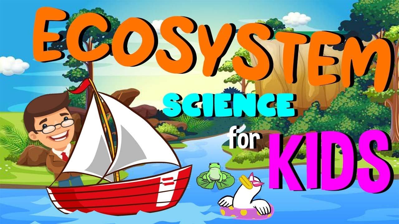 What are Ecosystems | Science for Kids смотреть онлайн