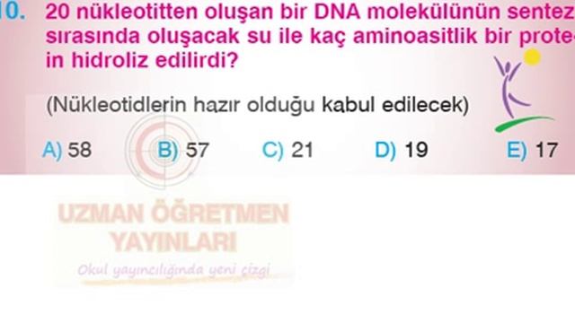 Nükleik Asitler ve ATP test 2 soru 10 смотреть онлайн