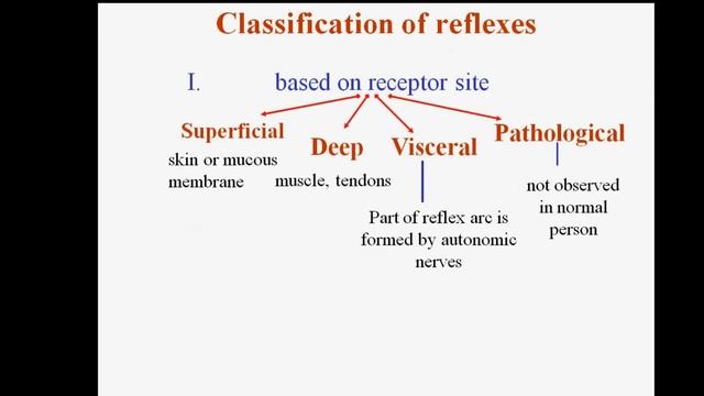 Reflexes - classification смотреть онлайн