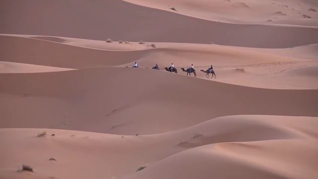 Erg Chebbi Dunes, Merzouga, Moroccan Sahara смотреть онлайн