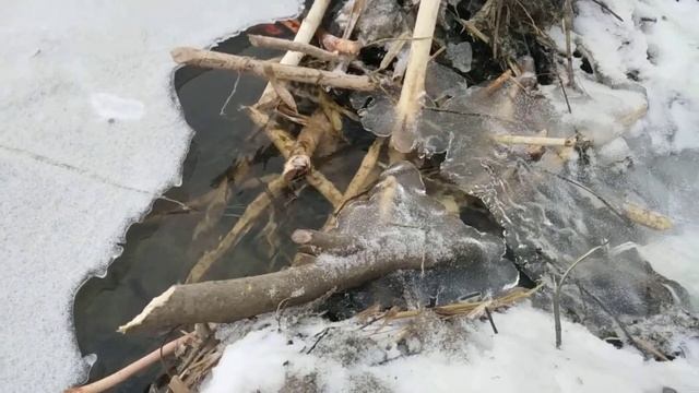 Кажется, что всё застыло без движения. Ан нет....это только на поверхности))) смотреть онлайн