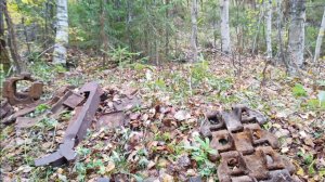 Нашёл стоянку тракторов на старой  УЖД #металлокоп